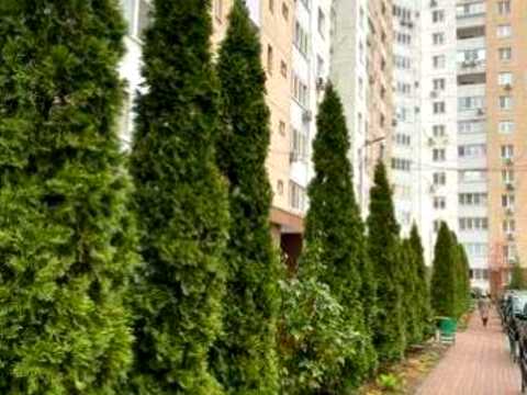 квартира за адресою Урлівська вул., 38
