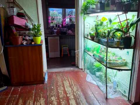 будинок за адресою Родевський тупик (Давидова), 6