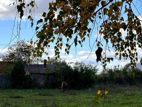 комерційна за адресою Радехів, Львівська вул., 5
