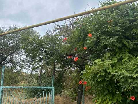 будинок за адресою 3-я Линия