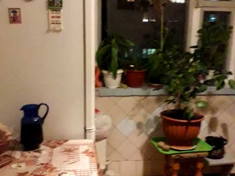 комната по адресу Чистяковская ул., 7