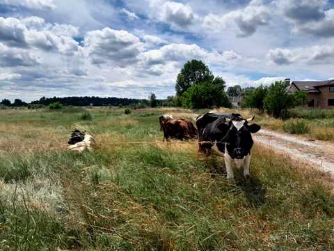 дом по адресу Лугова