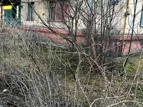 квартира за адресою Ярослава Гашека вул., 18