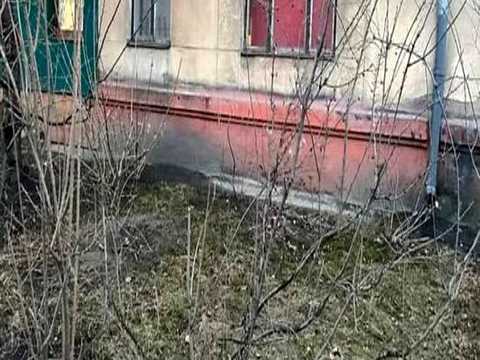 квартира за адресою Ярослава Гашека вул., 18