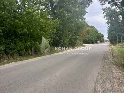 ділянка за адресою с. Лісові Гринівці, 