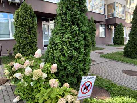 квартира по адресу Правды просп. (Правди), 41-Д