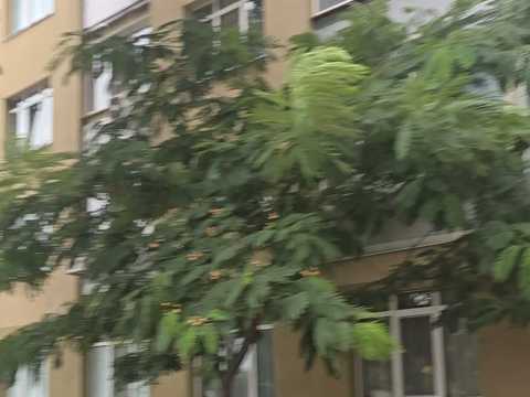 квартира за адресою Бреуса вул., 63/1