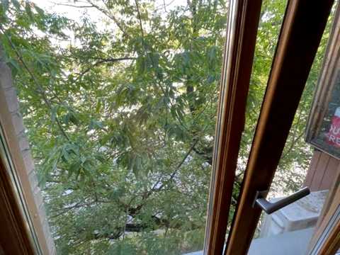 квартира по адресу Нежинская ул., 16