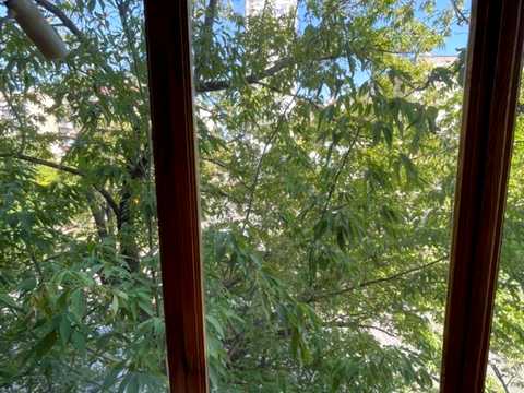 квартира по адресу Нежинская ул., 16