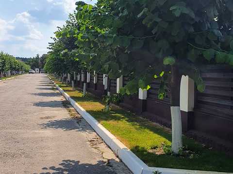 участок по адресу Дачна, 53-55