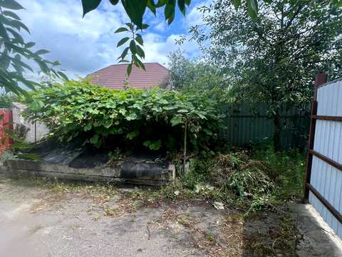 дом по адресу Джерельна