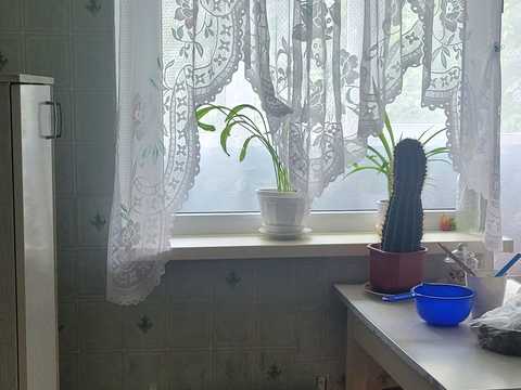 квартира за адресою Шатилівська вул. (Леніна), 29