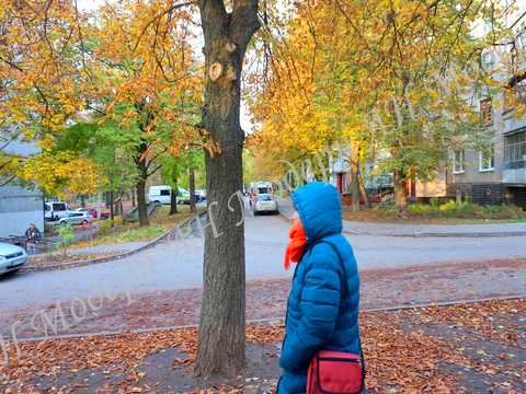 комерційна за адресою Харків, Гвардійців-Широнінців вул., 77