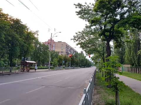 квартира по адресу Ореста Левицкого ул. (Академіка Курчатова), 14