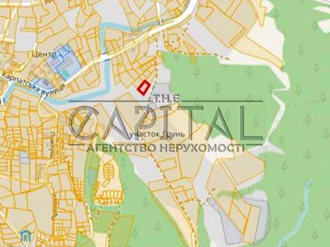 ділянка за адресою с. Поляниця, урочище Вишні вул.