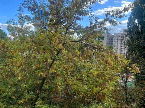 квартира за адресою Велика Васильківська вул. (Червоноармійська), 114