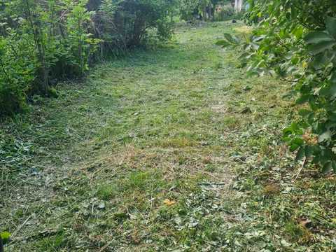 ділянка за адресою с. Денисів, Нижня лапаївка