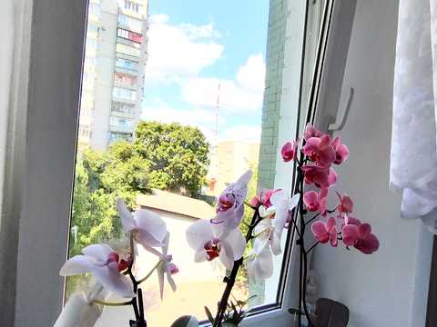 квартира за адресою Реміснича вул. (Комсомольська), 31