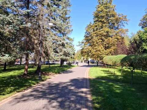 квартира по адресу Гетмана Мазепы ул., (Будинок)