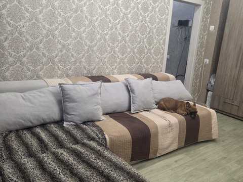 квартира за адресою Криворізька вул., 12-А