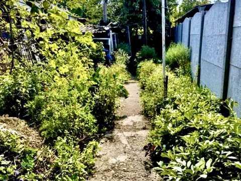 будинок за адресою Сержа Лифара вул. (Чайковського)