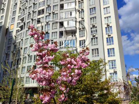 квартира за адресою Каховська вул., 62-А