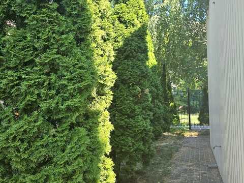 комерційна за адресою Одеса, Євгена Чикаленка вул., 56/2