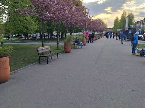квартира по адресу Петра Калнышевского просп. (Косіора), 5