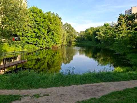 квартира по адресу Степана Рудницкого ул. (Академіка Вільямса), 19/14