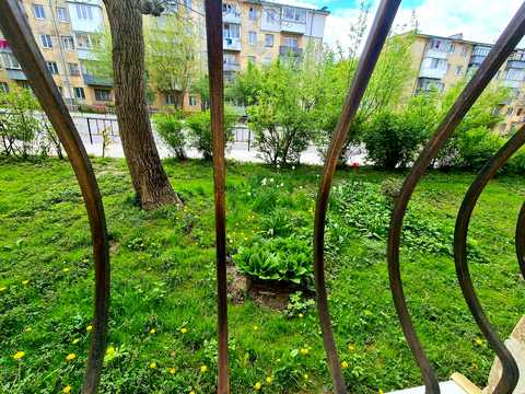 квартира за адресою Пасічна вул., 49