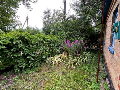 дом по адресу с. Млиев, Миру, 23