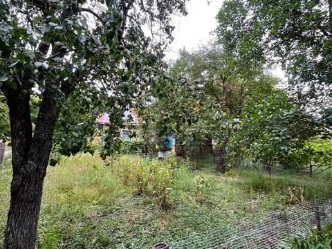 дом по адресу с. Млиев, Миру, 23