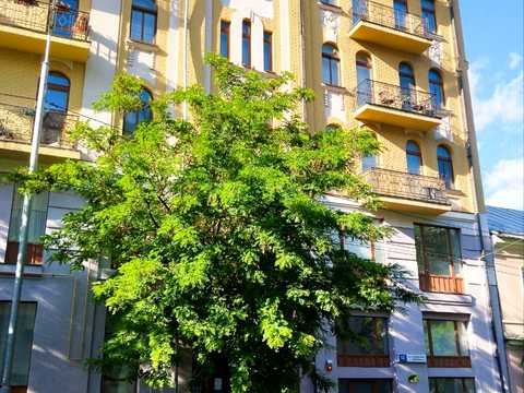 коммерческая по адресу Софиевская ул., 12