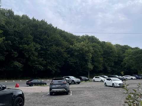 квартира по адресу Лысогорский пер., 20