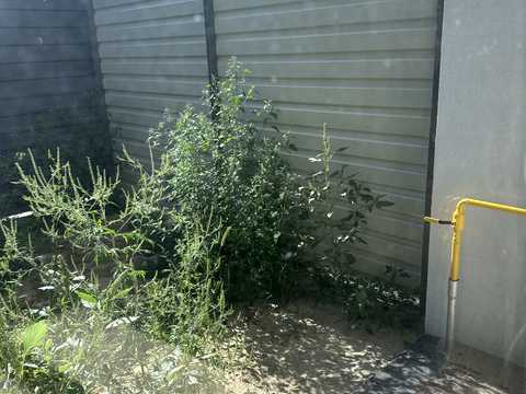 дом по адресу 9-я Линия ул.