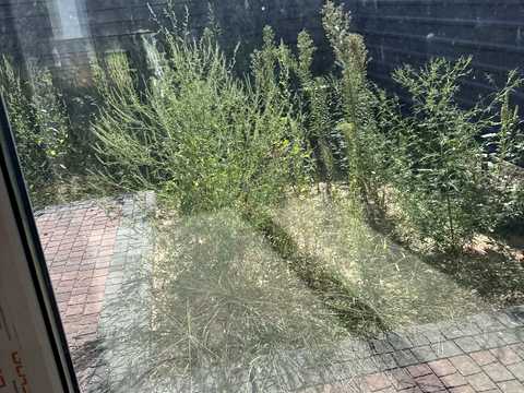 дом по адресу 9-я Линия ул.
