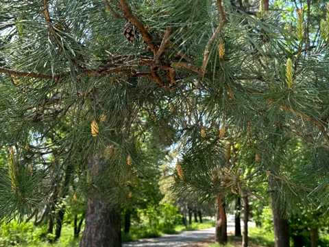 будинок за адресою Бориспільська