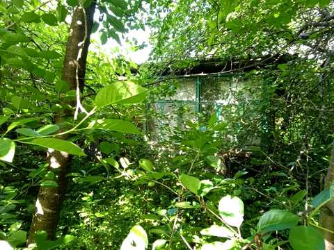 дом по адресу Лесі Українки, 26