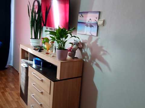 квартира за адресою Перемоги просп., 65