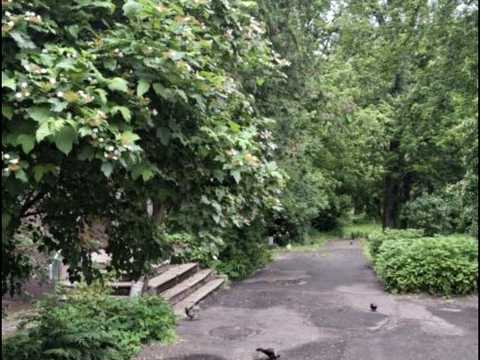 квартира за адресою Генерала Генадія Воробйова вул. (Курська), 4/1