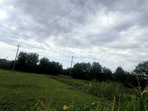 ділянка за адресою с. Лісові Гринівці, Вишнева