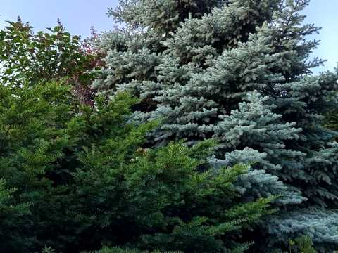 ділянка за адресою Одеса, Давида Бурлюка вул. (Гаршина)