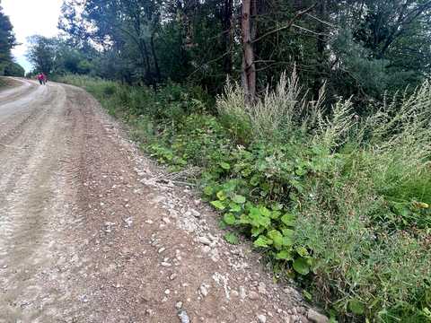 ділянка за адресою Гірська вул.