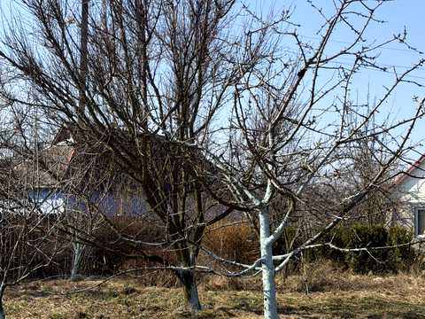 будинок за адресою Шевченка, 79