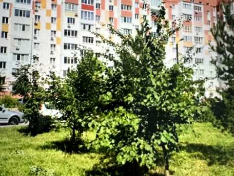 квартира за адресою Перемоги просп., 89