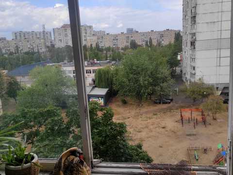 квартира за адресою Івана Миколайчука вул. (Серафимовича), 15/1