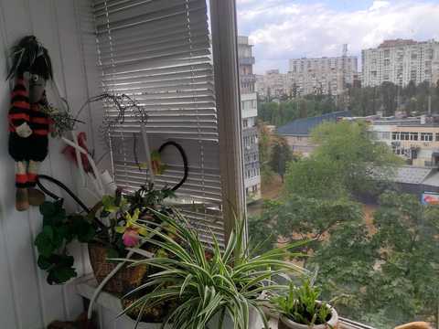 квартира за адресою Івана Миколайчука вул. (Серафимовича), 15/1