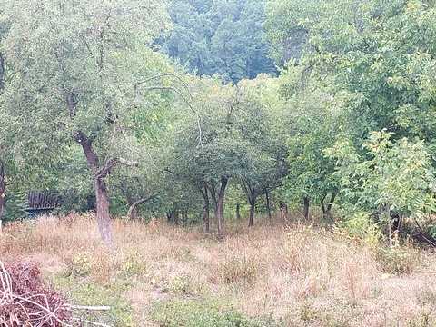 дом по адресу про.Лісний, 15
