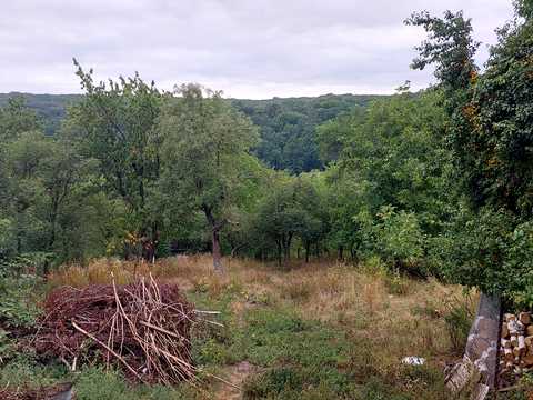 дом по адресу про.Лісний, 15