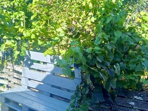 будинок за адресою Ізюмська вул.